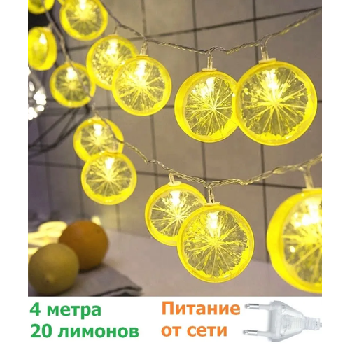 ���� �������� ������������� ������ 4 �����, 220�/���������� �������� ������, ������ �� 999 ���