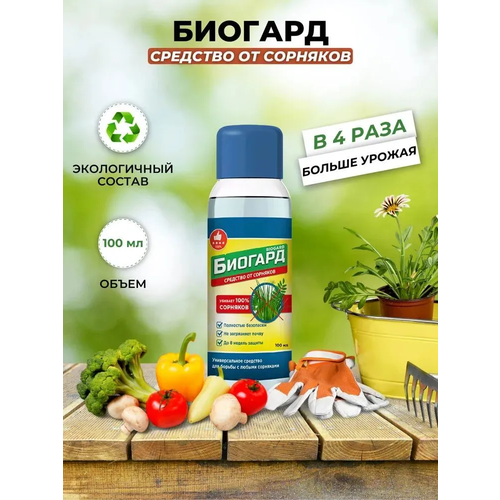 ���� �������, �������� �� �������� 100��, ������ �� 500 ���