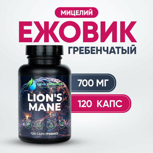 ���� ������ �����������, 120 ������ �� 700 ��., ������ �� 800 ���