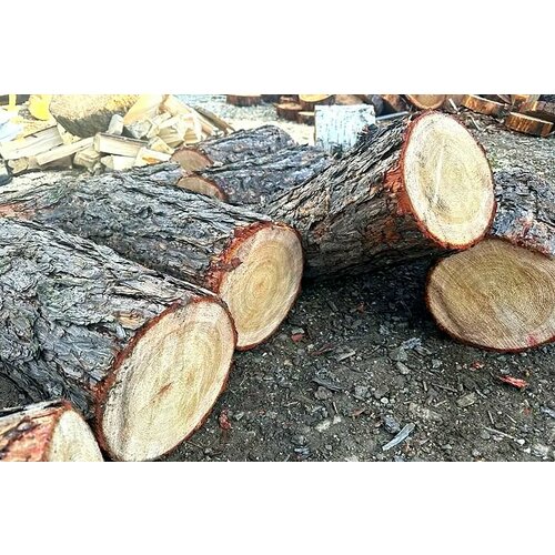     45    35 ,  19  -,   7000 