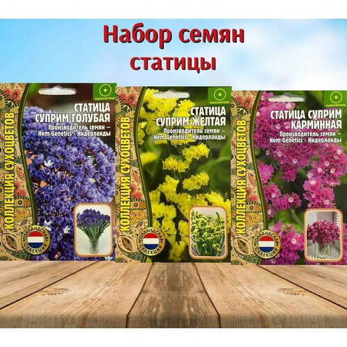 ���� ������ ���������� ������ ������� �������, ������, ���������. ���������. ����� 3 ��������, ������ �� 303 ���