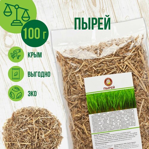 ���� ����� ������ �������, 100�, ������ �� 250 ���