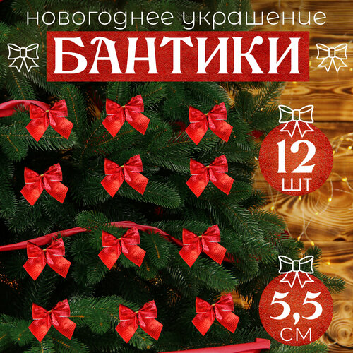 ���� ����� �� ���� ������� 12�� 5,5��, ������ �� 272 ���