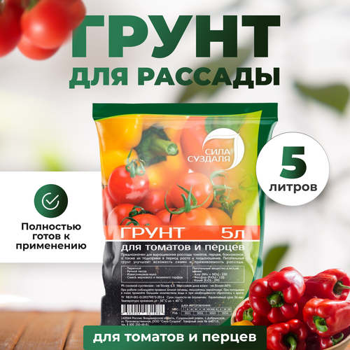 ���� ����� ��� ������� ������ ���� �������/�������������/ �� ������ ��������, 5 �, ������ �� 500 ���