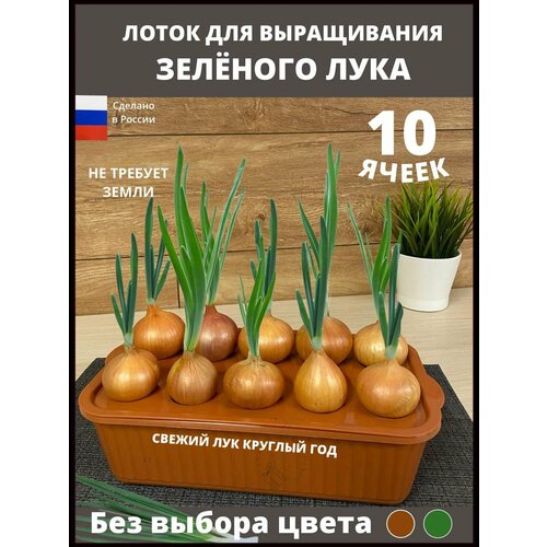 ���� ��������� ��� ����������� ����, �����, ������ �� 490 ���