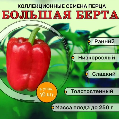 ���� ������������� ������ ����� �������� ������� �����, ������ �� 102 ���