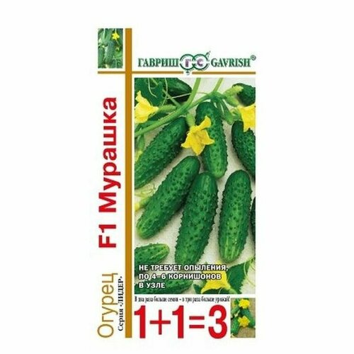 ���� ������ ������ ������� F1 ����, �����������, (������) 20�� ���1+1, ������ �� 138 ���