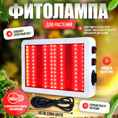   600    , ,   -  ,   5830 