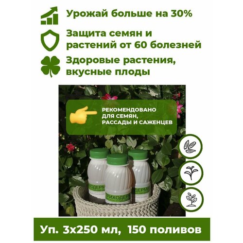 ���� ���������� ���������� - ����������� ������ 3 ���. �� 250�� ����������� ��������� ��� �������� ������ ����. ����� �������� �� ����� 60 ��������, �������� ����������� �� 30%., ������ �� 613 ���