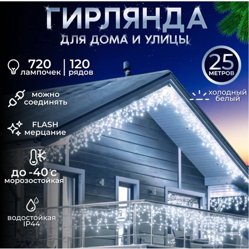 ���� ��������������� ������� �������, ������ �����, 25 ������, ������ �� 2390 ���