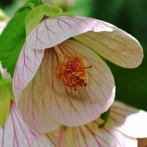 ���� ������ �������� ���� �� ��� 7 ��. (1 ��������), ������ �� 469 ���