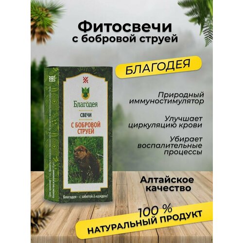 ���� ��������� � �������� ������ 