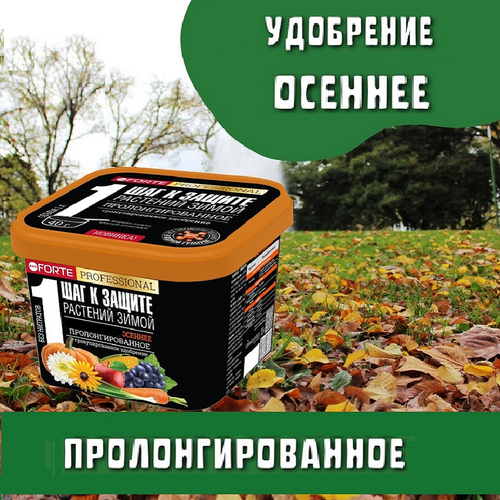 ���� ��������� ����������� ��������������� ������� Bona Forte, 1�, ������ �� 515 ���