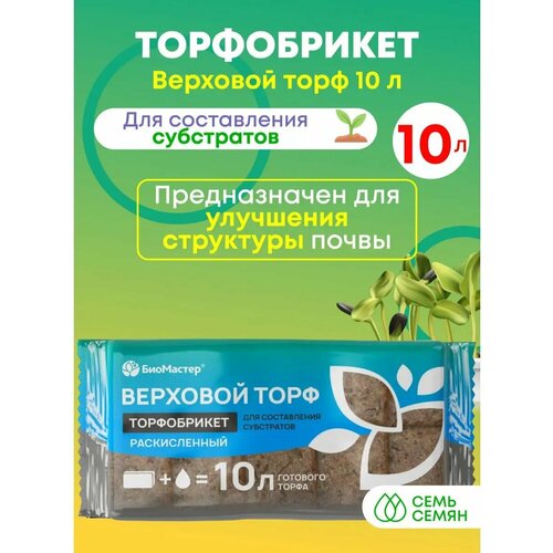 ���� ����������� 