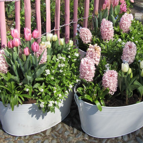 ���� ������� �������� �������� (2 ��), ������ �� 350 ���