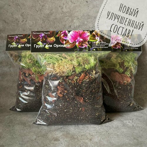 ���� ������� ����� ��� ������� 8 ������, ������� ����� ��� ����������, ������ �� 629 ���