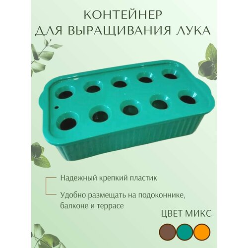 ���� ����� ��� ����������� �������� ���� �� �����������, ���� ����, ������ �� 480 ���