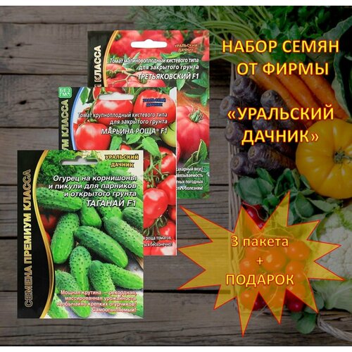 ���� ����� ����� �� 3�� �� ����� 