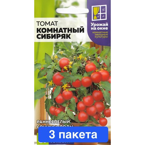 ���� ������ ������ ������ ����� 