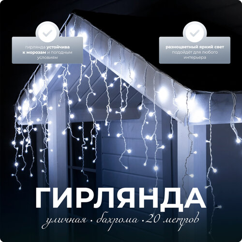 ���� �������� ����� SXLT Company, �������� ����, 20 �, ������ �� 1520 ���