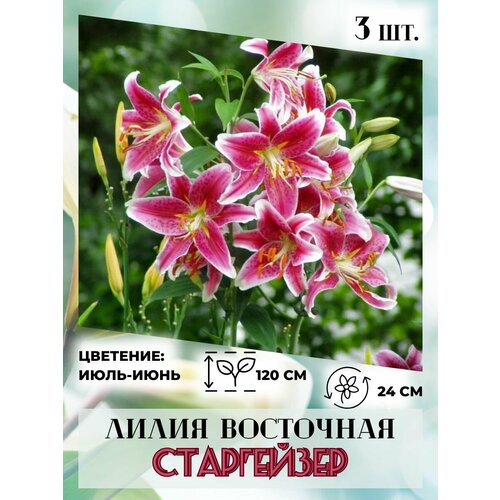 ���� ����� ��������� ���� ������, �������� 3 �����, ������ �� 410 ���