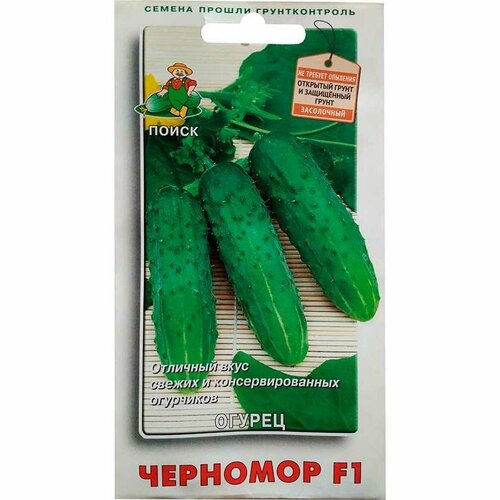 ���� ������ ������ �������� F1 12�� ������������������ ������ (�����), ������ �� 40 ���