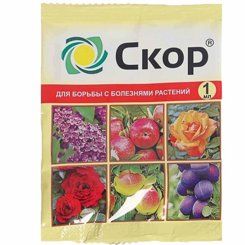 ���� ����, �������� ��� ������ �������� � ������� ������� �� ��������� ��������, 1 ��, ������ �� 123 ���