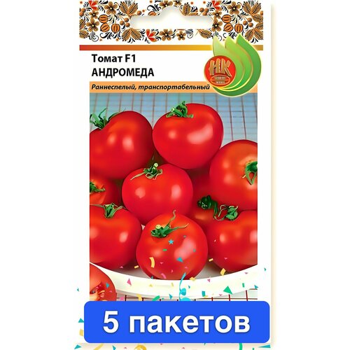 ���� ������ ������ ������� ������ 