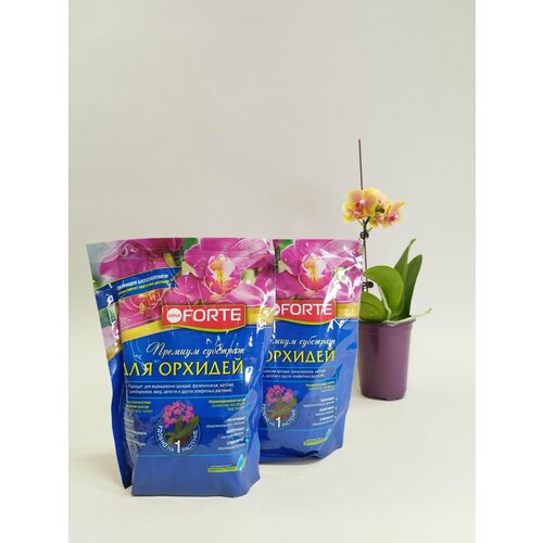 ���� ������� �������� 2 �� ��� ������� Bona Forte 1�, ������ �� 507 ���