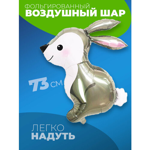 ���� ����� � ������, ������ �� 288 ���