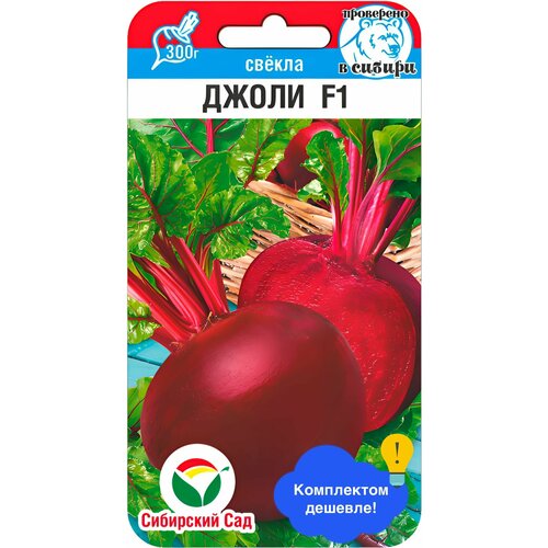 ���� ������ ������ ��������� ��� 