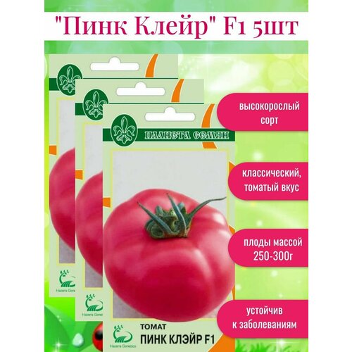 ���� ������ ������ ���� ����� F1, ������ �� 446 ���