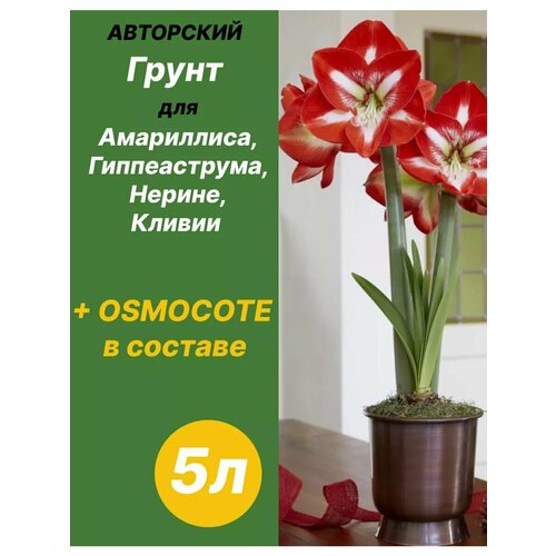 ���� ����� ��� ����������, ������������, ������, ������ 5� �������, ������ �� 640 ���