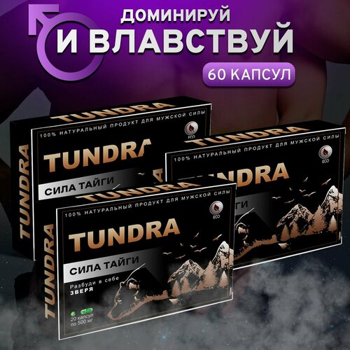 ���� Tundra ��� ��������, ������ ����������� ��� ������, ������� ������, ������ �� 1140 ���