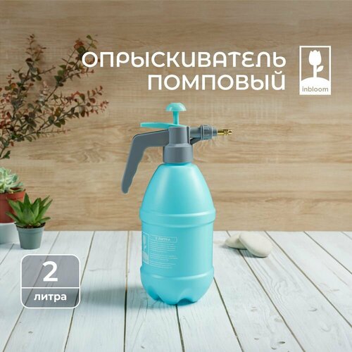 ���� ������������� �������� 2 � INBLOOM , �������������, ����������� ������, ������ �� 523 ���