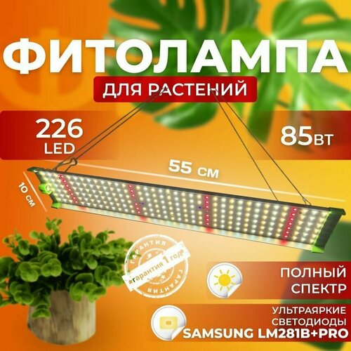        ,   ,    , 85  226 LED,   5300 