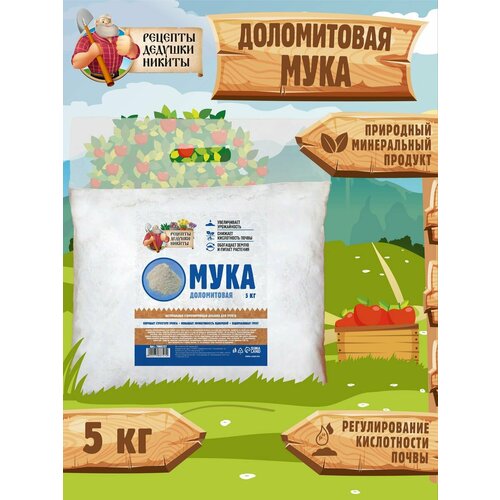 ���� ����������� ���� 