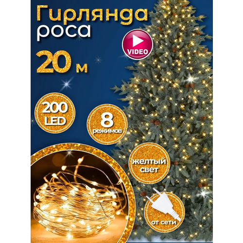 ���� �������� 