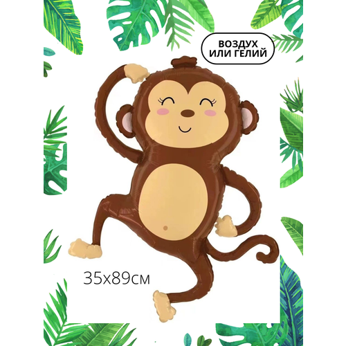 ���� ��������� ��� �������������� ������ ��������, ������ �� 258 ���