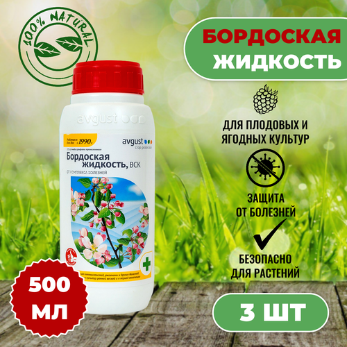 ���� August ��������� �������� 500��, 3��, ������ �� 2721 ���