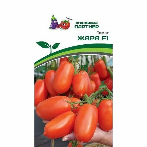 ���� ������ ������ 