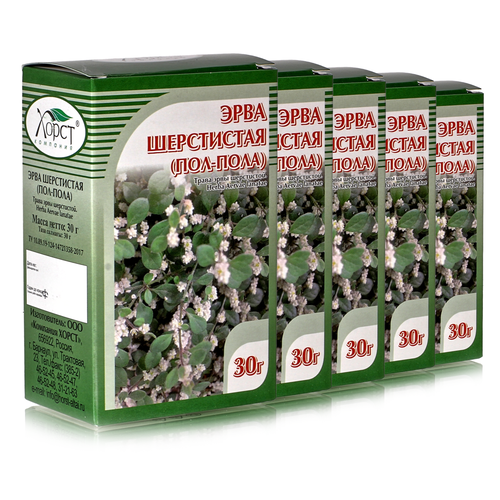 ���� ���� ���������� (���-����), ����� 30��, 5 ��, ������ �� 648 ���