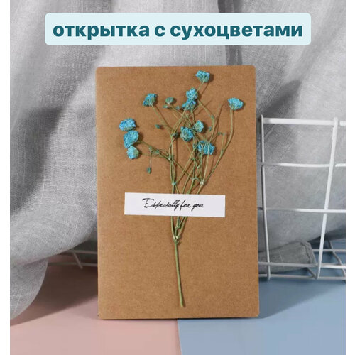 ���� �������� ����� � ����������� �����, ������ �� 283 ���