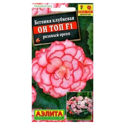 ���� ������� ��������� �� ��� ������� ����� F1 ( 1 �������� ) , ������, ������ �� 279 ���