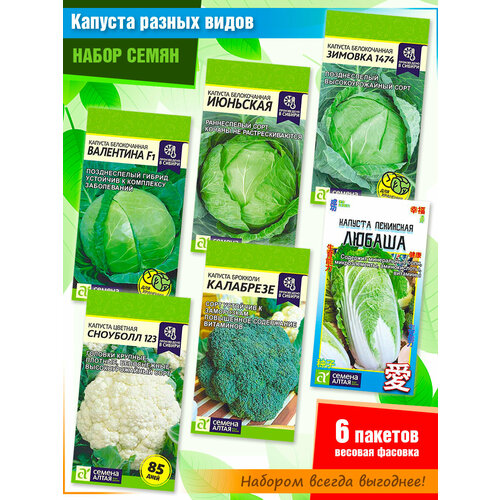 ���� ����� ����� ������� ������ ����� �� ������ ����� (6 �����), ������ �� 365 ���