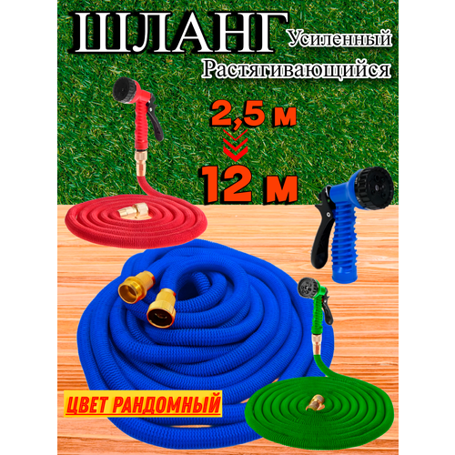 ���� ��������������� ������� ���������� ����� 12 ������, ������ �� 1000 ���