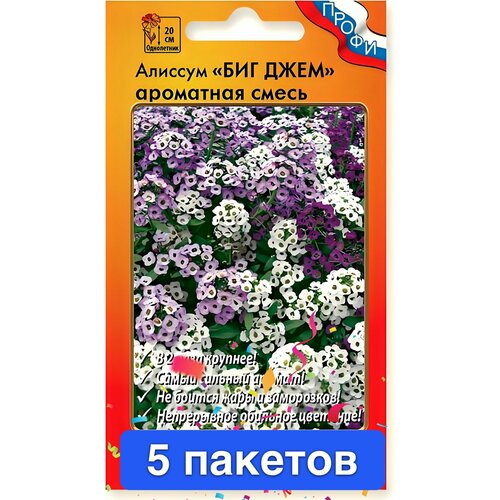 ���� ������ ������ ������� ������ 