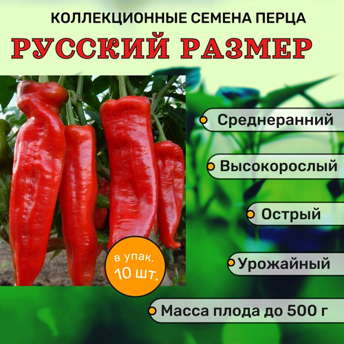 ���� ������������� ������ ����� ������� ������� ������, ������ �� 122 ���