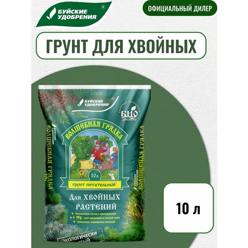 ���� ����� ���������� ������ ��� ������� �������, ������� ���������, 10�, ������ �� 1215 ���