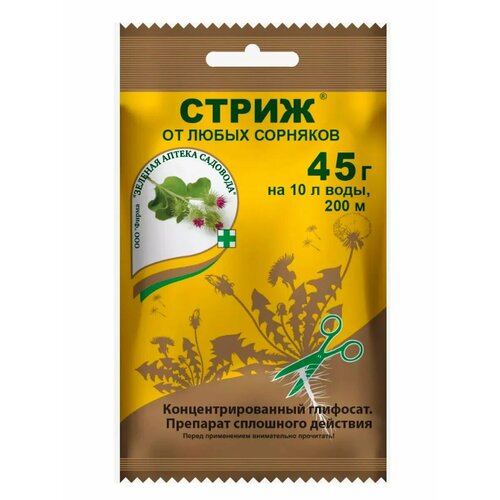 ���� �������� �� ��������, ������ �� 319 ���